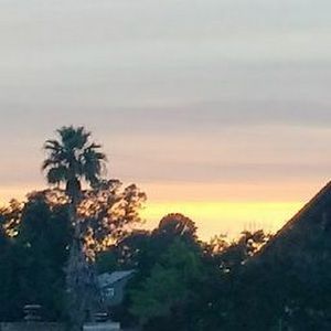 Meet your Posher, Faith